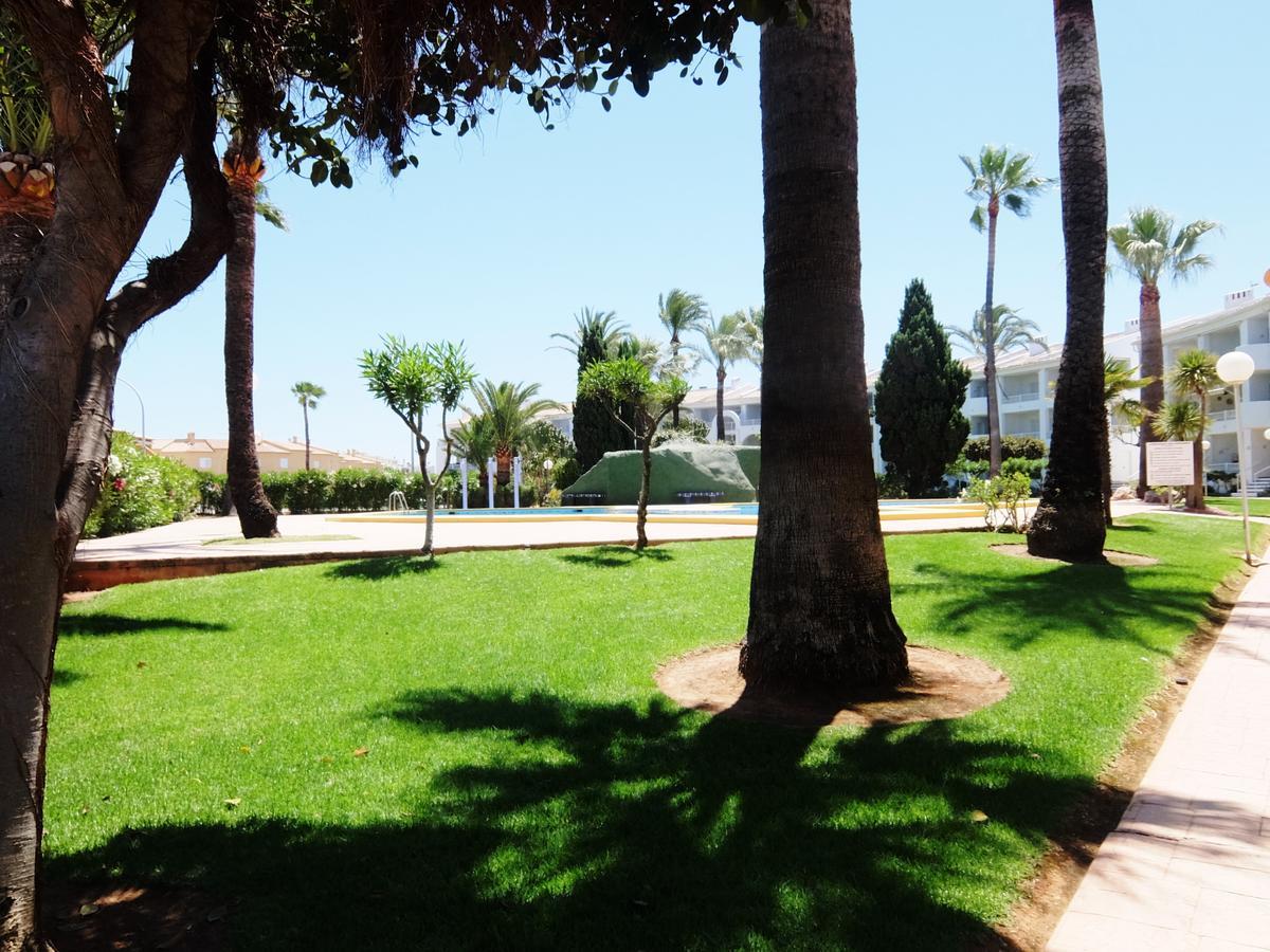 Roderic - Junto Al Mar Oliva