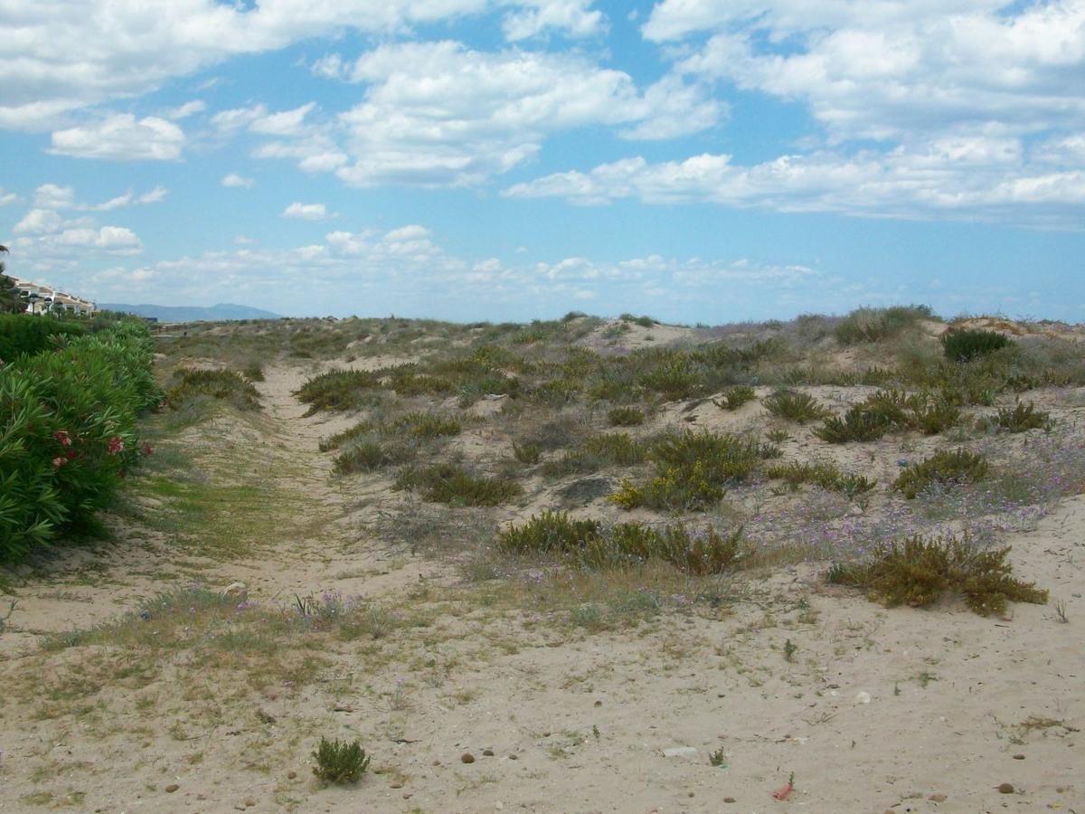 Roderic - Junto Al Mar Apartment Oliva